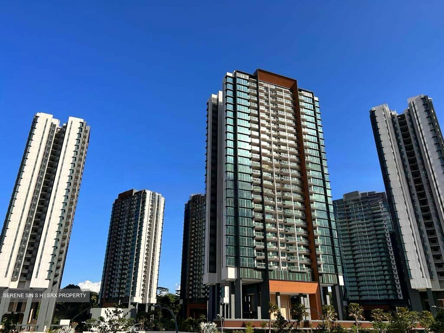 Normanton Park (D5), Apartment #480415621